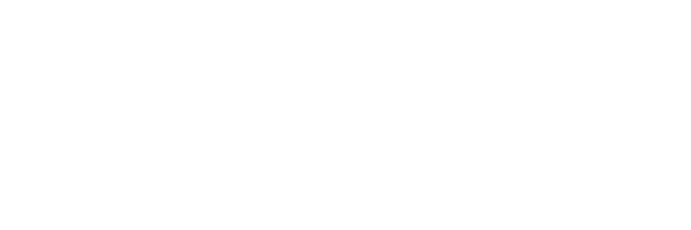 LOGO WIT security systems